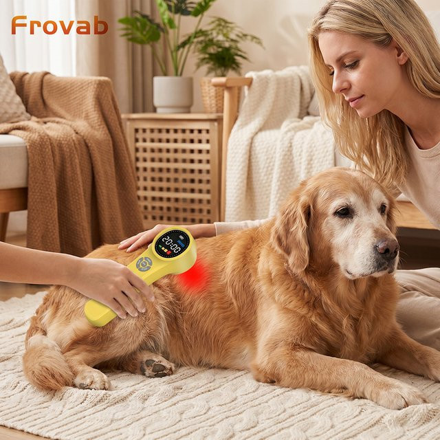 Frovab Kaltlasertherapiegerät Klasse 4, 660nm 810nm 980nm LLLT - Bild 1