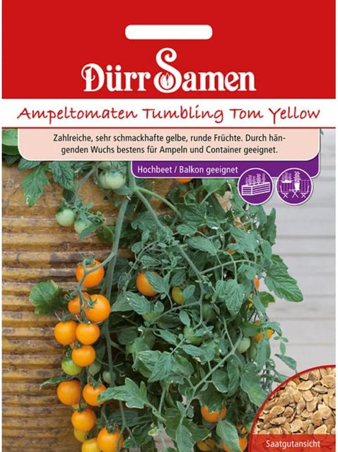 Dürr Samen Tumbling Tom Yellow Ampeltomaten Saatgut - Bild 1