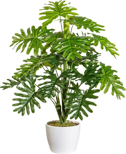 Gasper Kunstpflanze in Grün-Weiß mit Topf für den Tisch, Höhe: 30,0 cm, Breite: 11,0 cm, Tiefe: 9,0 cm - Bild 1