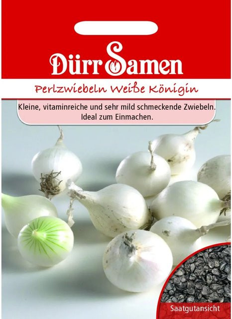 Dürr Samen Perlzwiebeln Weiße Königin Saatgut 400 g - Bild 1