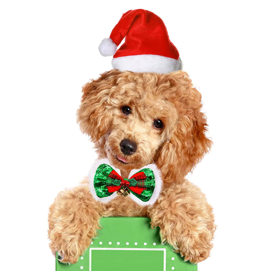 MRUQ PET Plüsch Hund Bowtie Halsband für Hunde und Katzen in Silber, verstellbar - Bild 4