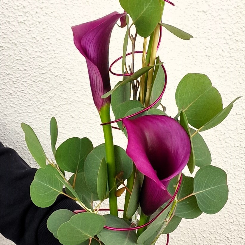 Calla de luxe Arrangement Calla Eucalyptus Purple Mother's Day - Bild 2