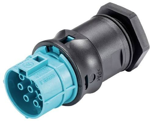 Wieland Electric 96.071.6253.6 Geräteanschluss in Turquoise und Multicolour - Bild 1