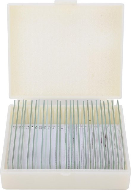 Painter DW-25 Mikroskop-Objektträger für Tierpräparate und naturwissenschaftliche Bildung, 25 Stück, Glas, transparent/weiß - Bild 1