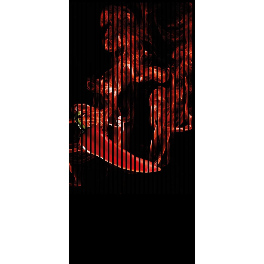 FN Acustico Akustikplatte Chili in Bunt, PET und MDF foliert, B/H: 113,3 x 240 cm, Tiefe: 1,9 cm - Bild 2