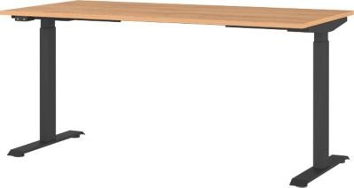 Elektrisch höhenverstellbarer Schreibtisch Agenda Home in Grandson-Eiche und Schwarz mit Memory-USB-Panel, B: 160 cm, T: 80 cm, H: 72-120 cm - Bild 1