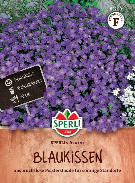 SPERLI Blaukissen-Samen Azurro - Bild 1