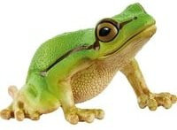 Schleich Wild Life Spielfigur Europäischer Laubfrosch - Bild 1
