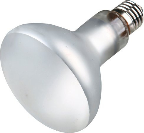 TRIXIE ProSun Mixed D3 Terrarienbeleuchtung LED in Weiss - Bild 1