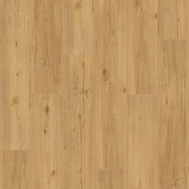 Parador Vinylboden Basic 5.3 Eiche Natur in Holzoptik Braun mit Click-System - Bild 1