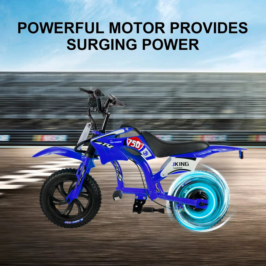 JKING C6 E-Motorrad, Elektromotorrad, 12-Zoll-Reifen, mit LCD-Display - Bild 3