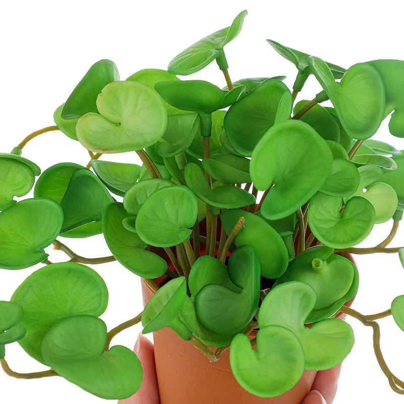 Künstliche Pflanze Kmitang Mini-Bouquet Kupfermünzgras in Grün aus Weichgummi, Höhe: 15 cm - Bild 3