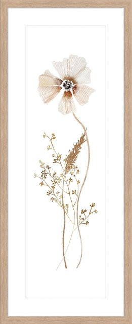 Kunstdruck Maremi WILD FLOWERS II Illustration in Braun und Weiß - Bild 1