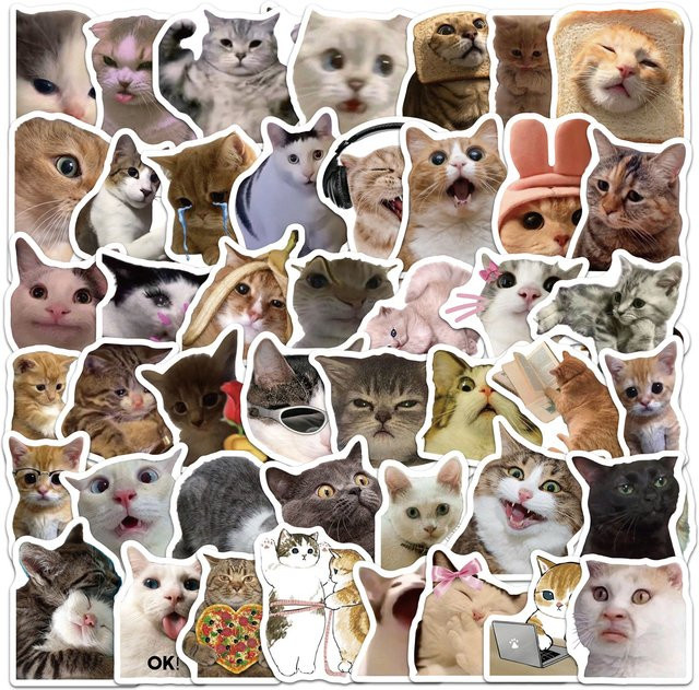50 Stück Lustige Katzen-Meme Aufkleber in Multicolour für Laptop, Handy und Scrapbooking - Bild 1