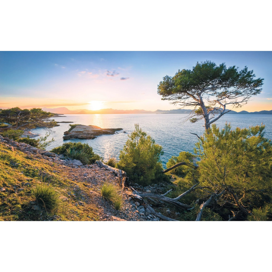 Komar Fototapete Vlies Southern Light Multicolor B: 400 cm, H: 250 cm - Bild 2