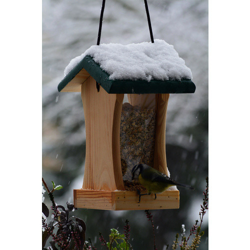 DOBAR Futterhaus für Wildvögel aus Kiefernholz und Acrylglas in Natur/Grün-Beige - Bild 2