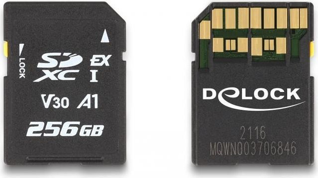Delock SD Flash-Speicherkarte mit 256 GB in Schwarz, Video Class V30 und UHS-I U3 - Bild 1