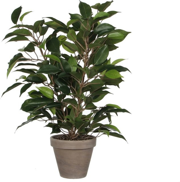 Mica Decorations Kunstpflanze Ficus Natasja Grün im Terrakotta-Topf, Höhe: 40 cm, Durchmesser: 30 cm - Bild 1