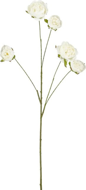 Mica Decorations Kunstpflanze Peonie Weiß Höhe: 110 cm - Bild 1