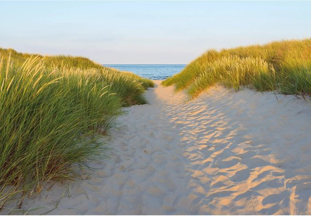 Komar Fototapete Sandy Path B: 368 cm, H: 254 cm - Bild 1