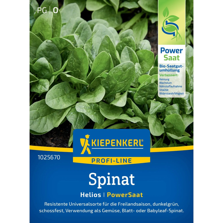 Kiepenkerl Spinat Helios Sorte Spinacia oleracea Gemüsesamen - Bild 2