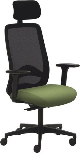 Mayer Sitzmöbel Drehstuhl 2228 mit Kopfstütze und Armlehnen in Grün, B/H: 70 x 63 cm - Bild 1