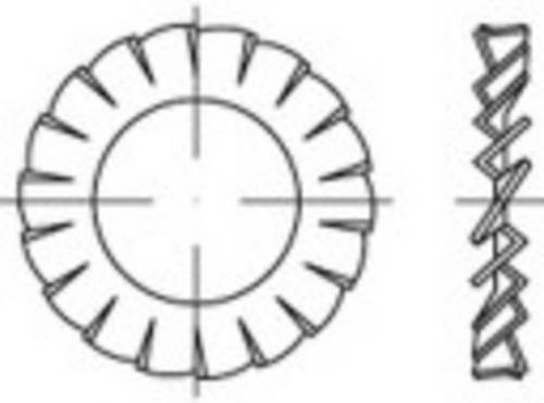 TOOLCRAFT Fächerscheibe aus Federstahl, Innen-Durchmesser: 5,3 mm, galvanisch verzinkt, Silber, 500 Stück - Bild 1