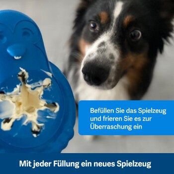 PetSafe Gefrier-Pinguin, Snackspielzeug für Hunde, blau, M-L - Bild 2