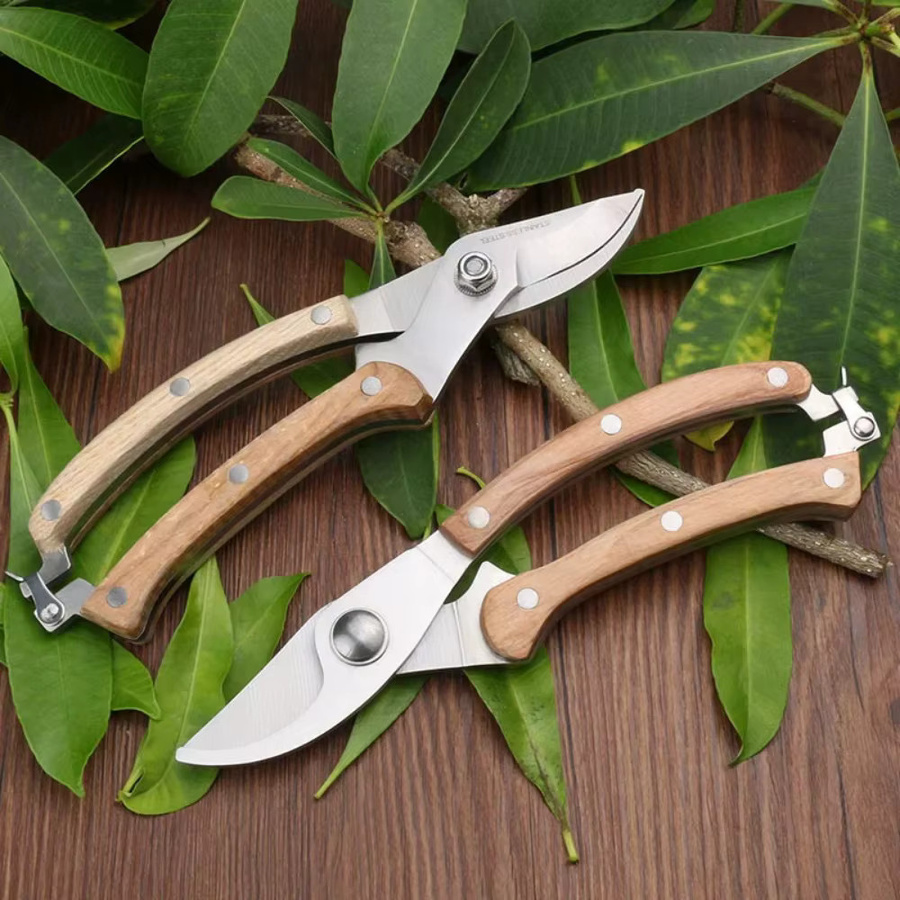 Skeyo Multifunktionale Gartenschere für Gartenarbeit, Obstpflücker und Bonsai-Pflege mit Anti-Slip-Griff - Bild 4