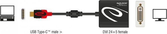 Delock Videokabel-Adapter USB Typ-C auf DVI Schwarz 0,2 m - Bild 1