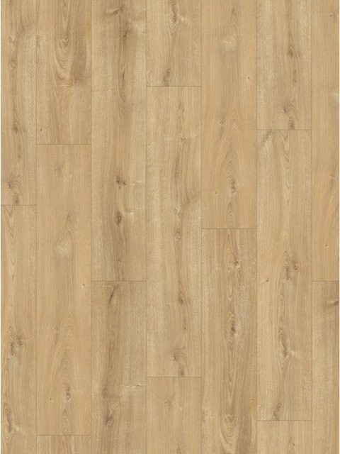 Parador Laminatbodenmuster Basic 600 Eiche Nova Gekälkt Braun - Bild 1