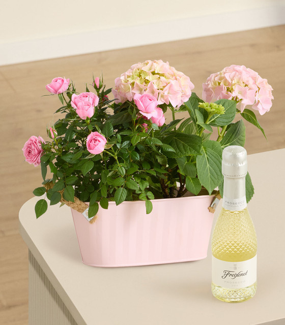 Freixenet Piccolo Blanc Schaumwein 0,2 l - Bild 1