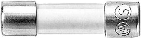 Siemens Feinsicherung 8WA1822-7EF83, 4A, 250 V/AC, träge, Durchmesser: 5 mm, Länge: 20 mm, Silber, 10 Stück - Bild 1