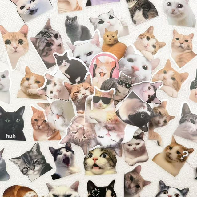 50 Stück Lustige Katzen Sticker aus transparentem PET für Handy, Laptop und Notebook in Multicolour - Bild 1