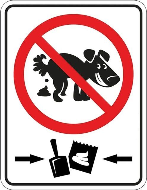 CIFBUY No Dog Poop Warnschild aus Weißblech in Weiß, Wandschild für Outdoor und Home Decor, Breite: 20,0 cm, Höhe: 14,0 cm - Bild 1