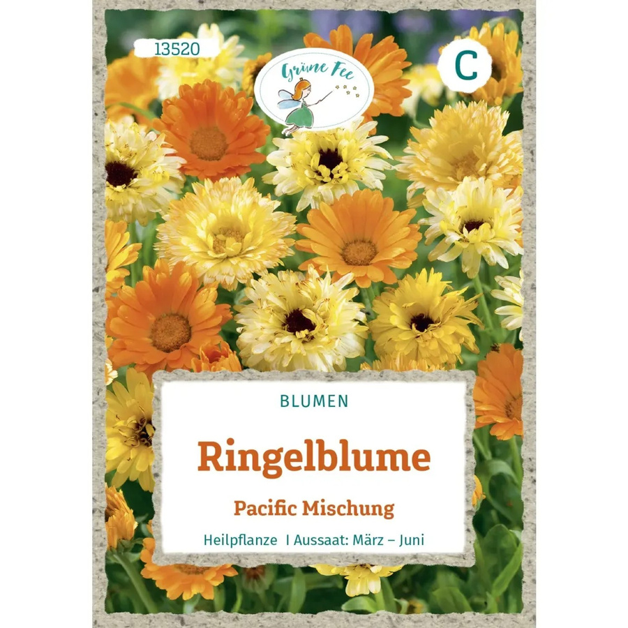 Grüne Fee Ringelblume Pacific Mischung Saatgut für Beete und Rabatten - Bild 2