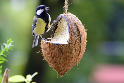Dobar Vogelfutter-Mix mit gefüllten Kokosnüssen und Riesenzapfen als Fettfutter in Braun - Bild 2