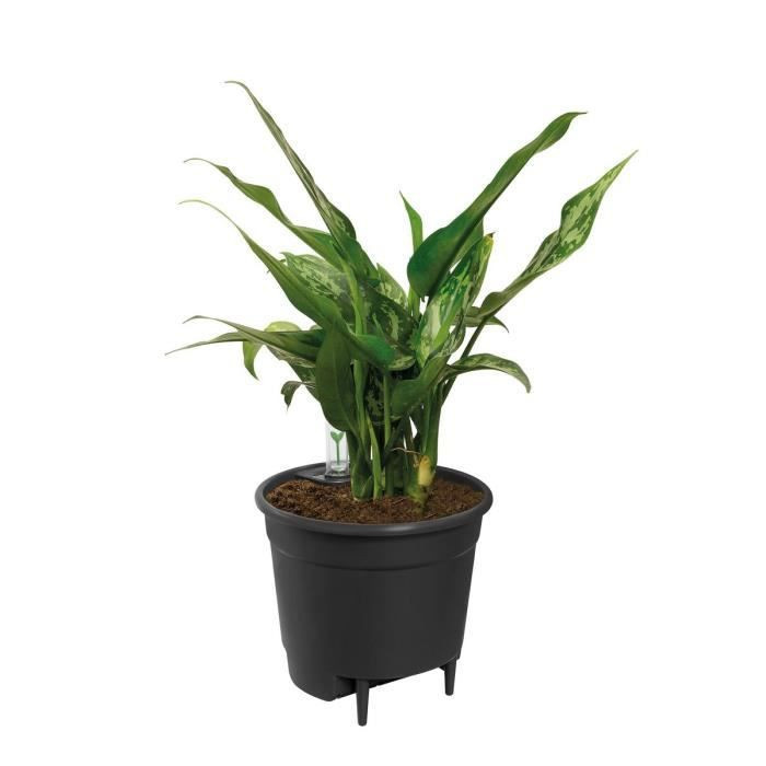 Elho Selbstbewässerungseinsatz 21 Living Schwarz Ø 20,7 cm x H 19,5 cm - Bild 2