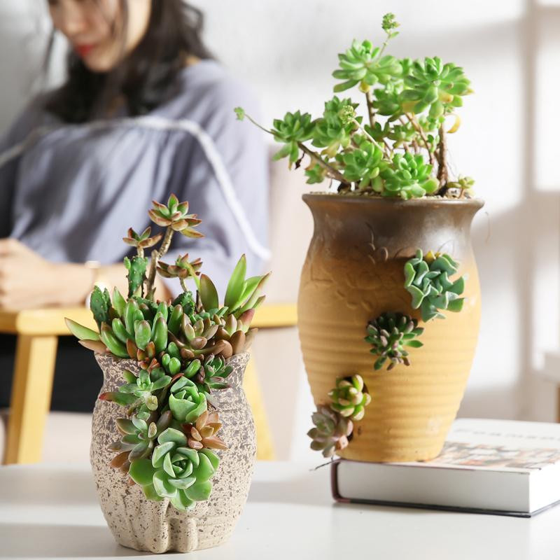 Kreative Keramik-Vase in Multicolour als Sukkulenten-Blumentopf und chinesisches Garten-Ornament - Bild 1