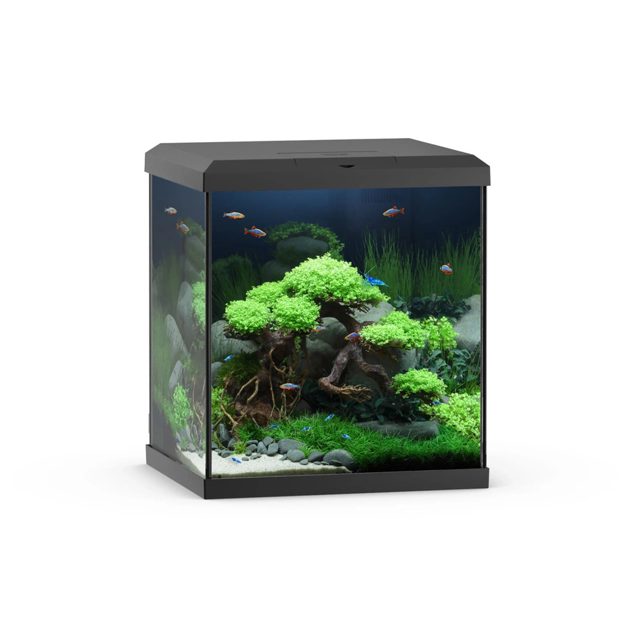 Juwel Aquarium-Set Vio Cube 54 LED SBX Schwarz - Bild 2