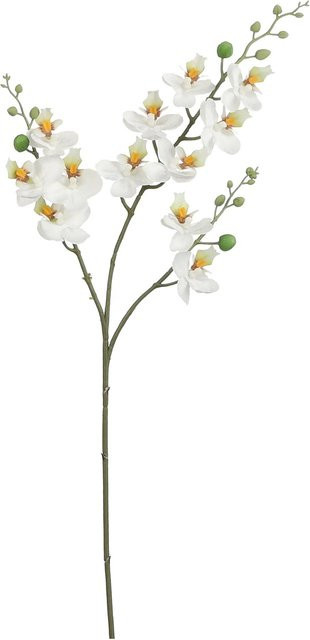 Mica Decorations Kunstblume Phalaenopsis Orchidee in Weiß, Höhe: 75 cm - Bild 1