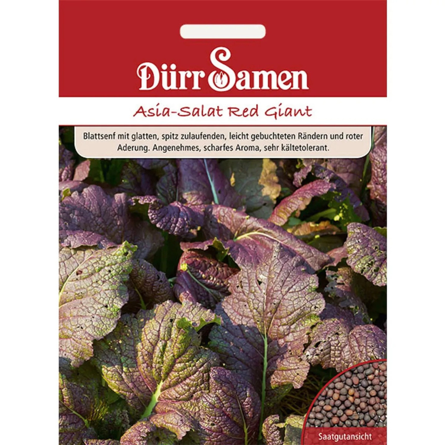 Dürr Samen Asia-Salat Red Giant Saatgut 500 g - Bild 2