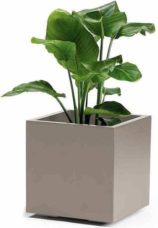 Euro3plast Greener KEBE 3157.G9 Pflanzkasten aus Kunststoff in Beige - Bild 1