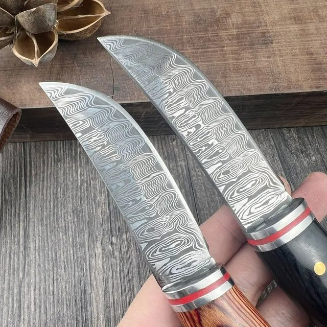 DUTRIEUX Chefmesser aus Edelstahl mit Massivholzgriff - Bild 1
