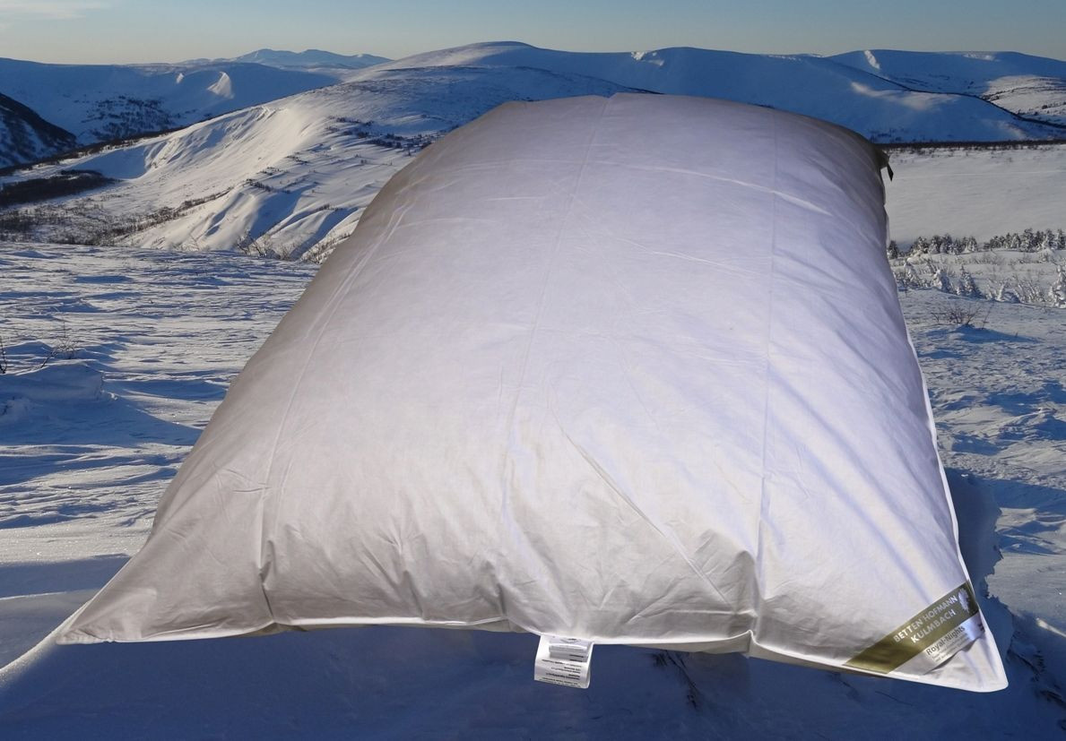 Betten Hofmann Winter Oberbett Daunen-Federbett Schüttelbett, Farbe: Weiß, B/T/H: 155 x 220 cm - Bild 1