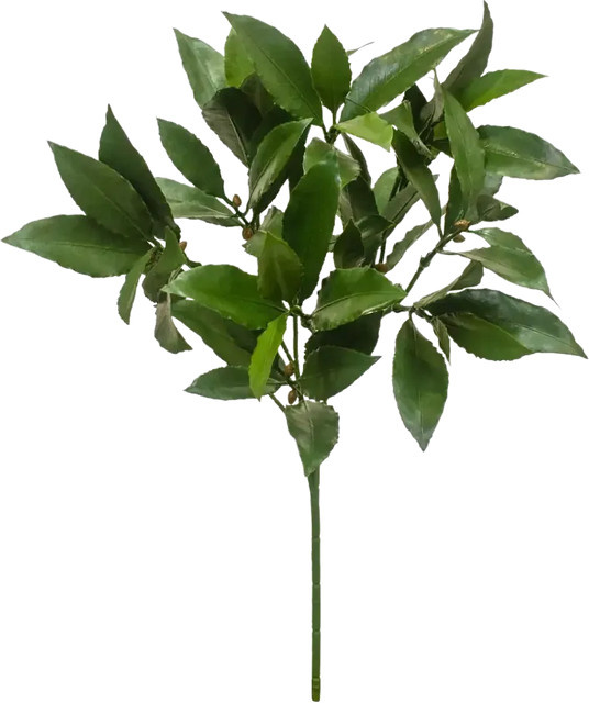 Künstlicher Lorbeerzweig Eugen von Aplanta, grün, Höhe: 51 cm - Bild 1