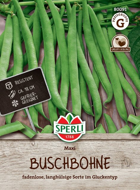SPERLI Buschbohnen-Samen Maxi - Bild 1