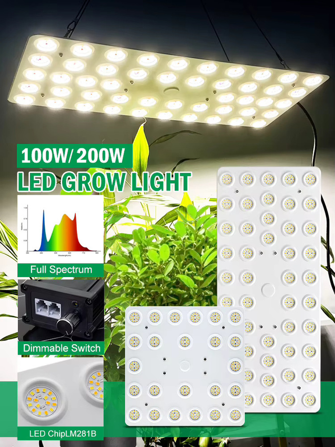 GRAXGROW LED-Wachstumslicht Vollspektrum Dimmbares Panel mit Reflektor für Garten und Bauernhof - Bild 7