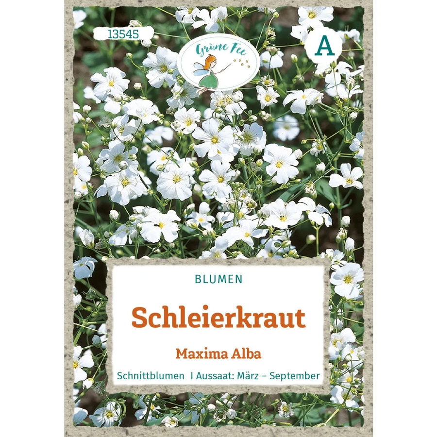 Grüne Fee Schleierkraut Maxima Alba Saatgut für Rabatten, Beete und Blumensträuße - Bild 2