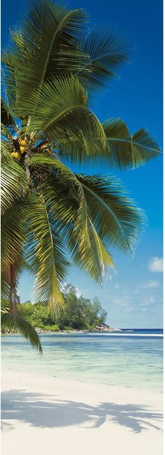 Komar Fototapete Vlies Coconut Bay Multicolor B: 100 cm, H: 280 cm - Bild 1